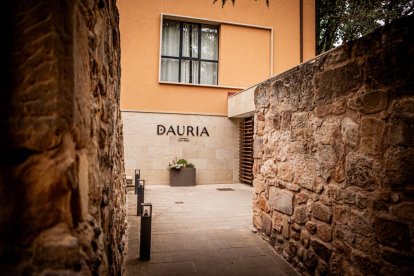 El San Francisco que permanece oculto a los ojos de los sorianos resurge con la búsqueda de Jaume IV