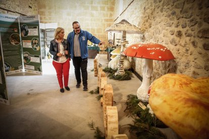 Arranca la Micotour de Otoño 2026 con la inauguración oficial en El Trinquete.