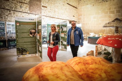 Arranca la Micotour de Otoño 2026 con la inauguración oficial en El Trinquete.