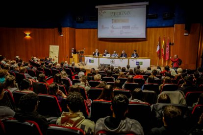 Soria estrecha sus lazos con la cultura nipona con el inicio del congreso internacional de la AEJE.