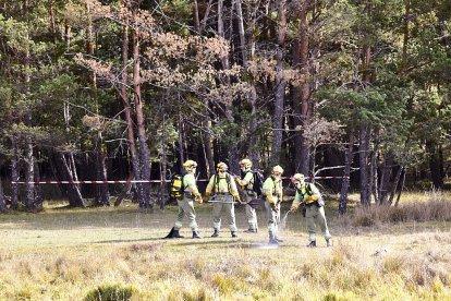 Simulacro de la BRIF de Lubia en Cabrejas del Pinar por la feria Cabforest.