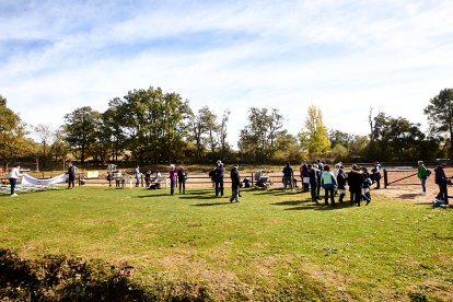 El centro ecuestre El Robledal acogió el Campeonato de España de Doma Clásica FEDDI.