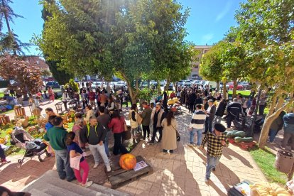 San Esteban de Gormaz disfruta de nuevo de su concurso de calabazas.
