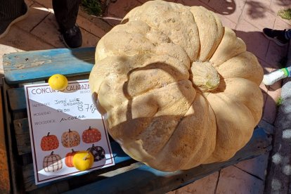 San Esteban de Gormaz disfruta de nuevo de su concurso de calabazas.