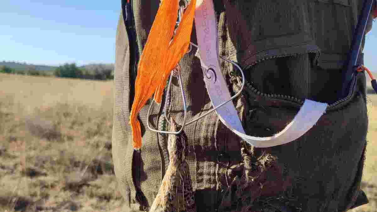 Un cazador soriano con una sola codorniz en la percha.