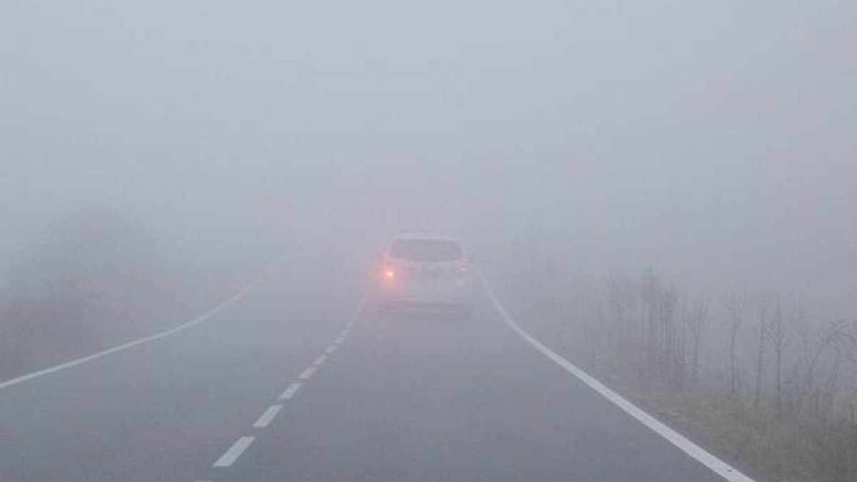 Carretera con niebla en la provincia.-MARIO TEJEDOR
