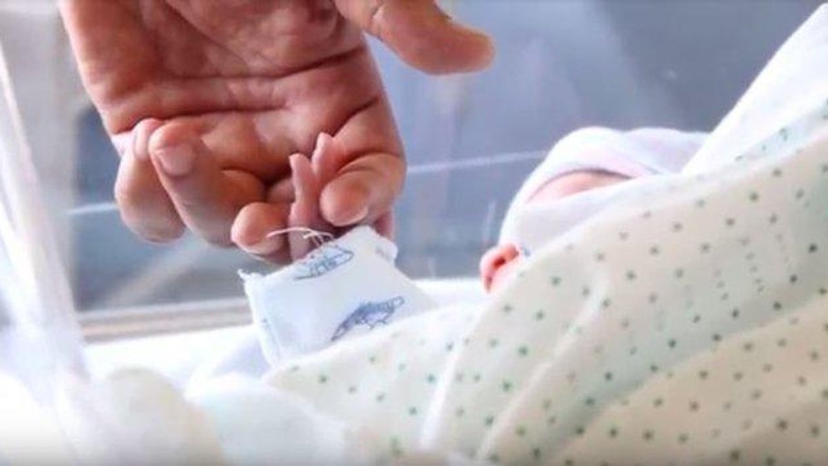 Un bebé recién nacido coge la mano de uno de sus padres. HDS