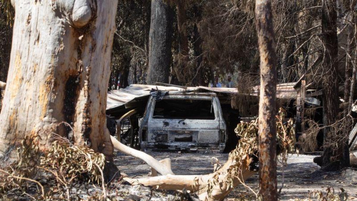 Los incendios forestales en Australia arrasan con todo a su paso.-EFE