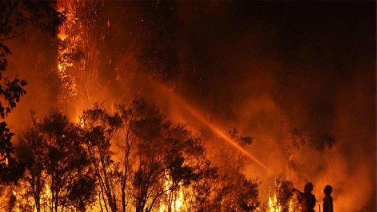 Los incendios forestales en Autralia siguen creciendo.-EUROPA PRESS