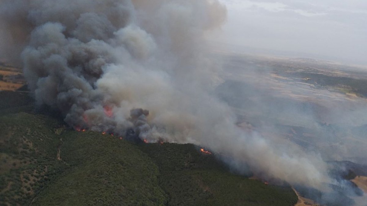 Vista aérea del incendio forestal en la zona del Moncayo aragonés. INFOAR-GOBIERNO DE ARAGÓN