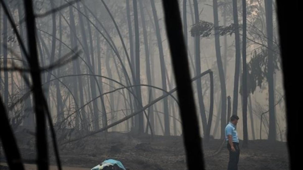Incendio de Portugal.-AFP / PATRICIA DE MELO MOREIRA