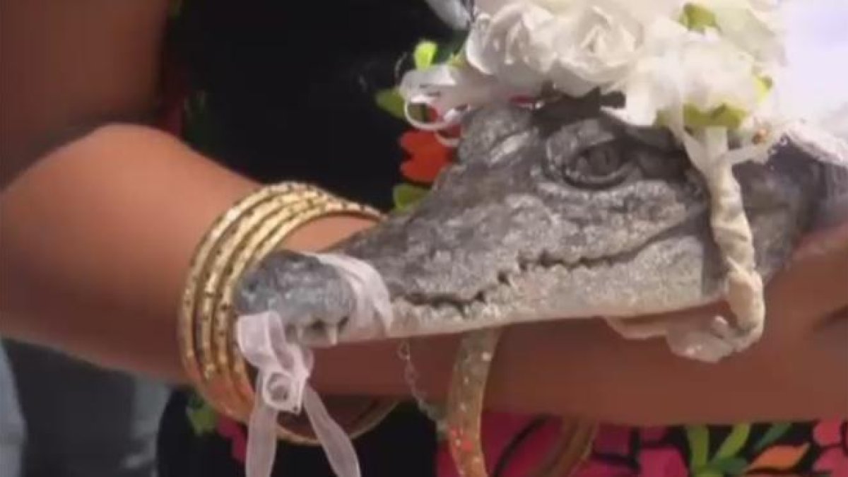 Un alcalde de México se casa con un cocodrilo-ATLAS