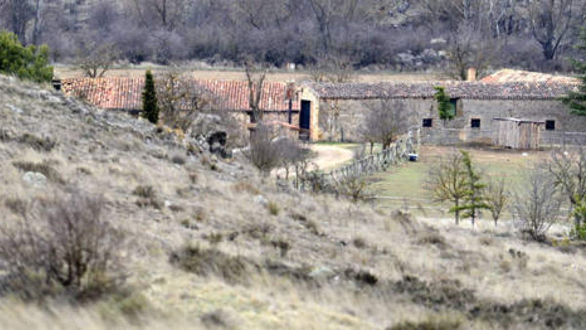 Finca Garrejo, en Garray. ÁLVARO MARTÍNEZ-