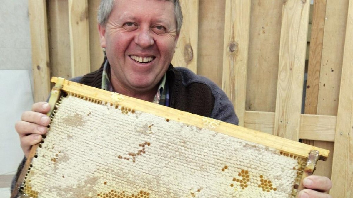 El apicultor soriano Miguel López Cuscurita.-- LUIS ÁNGEL TEJEDOR
