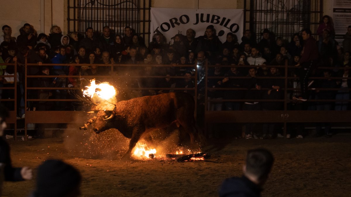 Celebración del Toro Jubilo de Medinaceli la noche del 12 de noviembre. SARA RONCAL