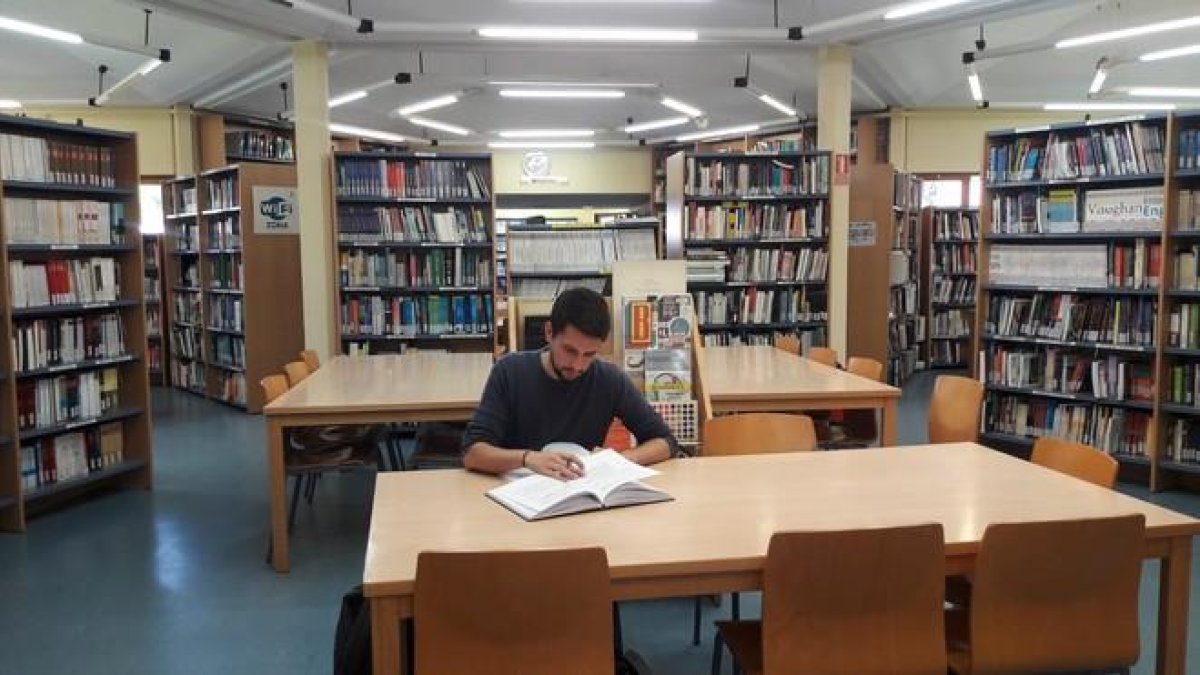 Un periodista consulta la tesis doctoral de Pedro Sánchez en la biblioteca de la universad privada Camilo José Cela, en Villanueva de la Cañada.-OLGA PEREDA