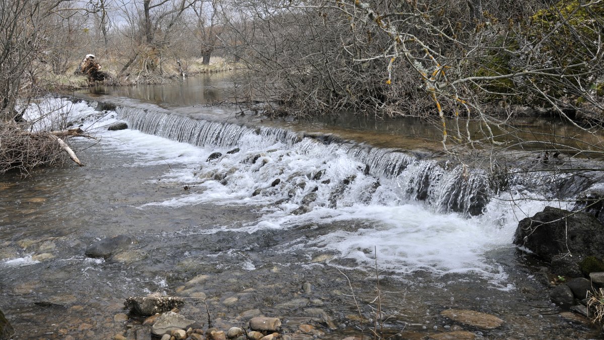 El río Tera fluye con buen caudal a su paso por Espejo. / VALENTÍN GUISANDE