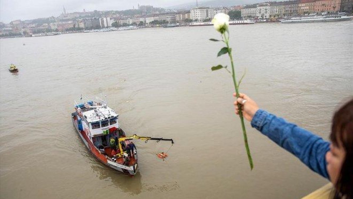 Una mujer lanza una rosa al Danubio en Budapest (Hungría).-BALAZS MOHAI (EFE)