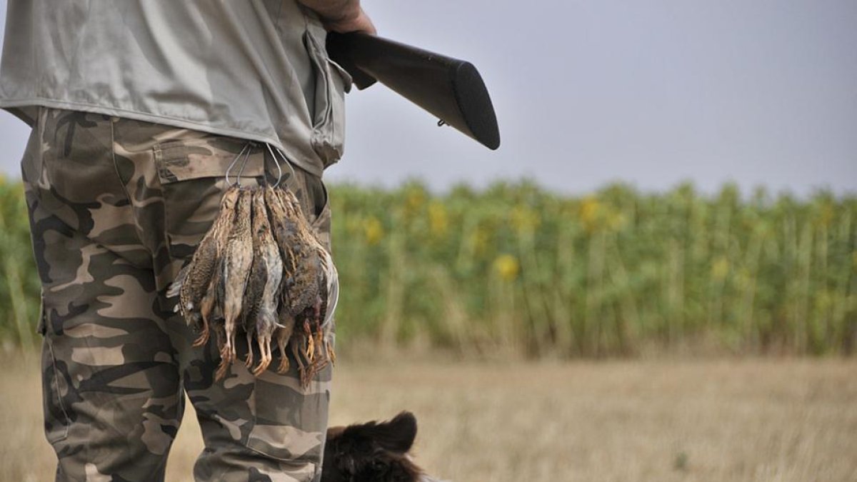 Un cazador en la zona de Boos durante el inicio de la media veda en la jornada de ayer.-DANIEL RODRÍGUEZ