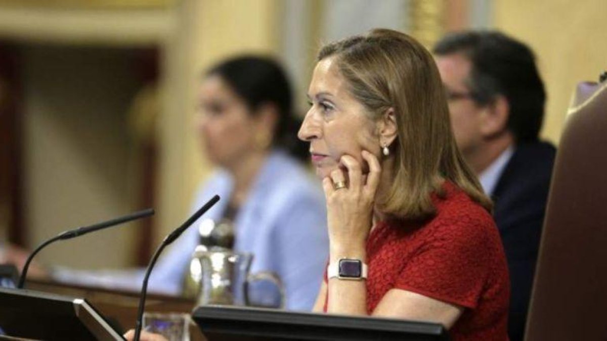 Ana Pastor, presidenta del Congreso de los Diputados.-EFE