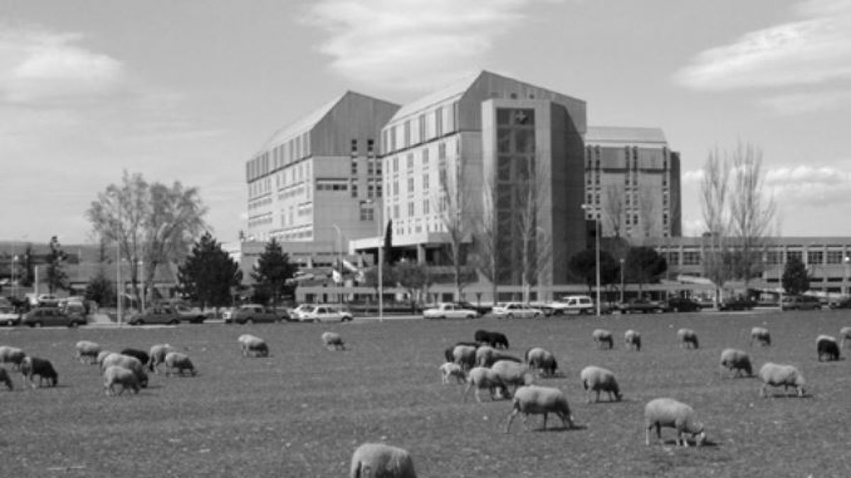 Hospital de Soria en una imagen antigua publicada en 'Soria Salud'.-HDS