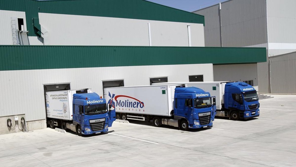 Instalaciones de Transportes Molinero-M.T.