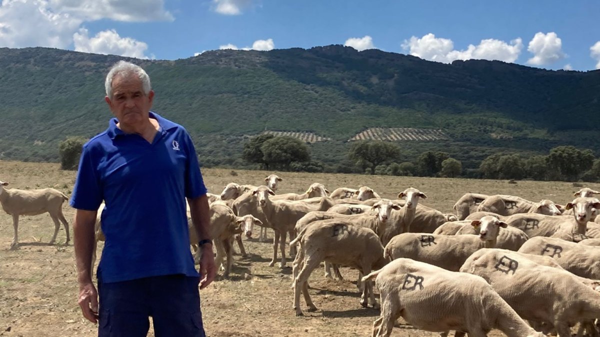 Eduardo del Rincón, ganadero de Soria atrapado en Ciudad Real junto a su familia y un rebaño de 1.000 ovejas. HDS