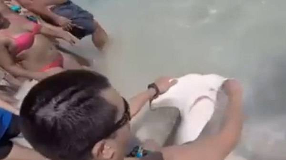 Los hermanos liberaron al tiburón de los anzuelos que le perforaban la boca.-Foto: YOUTUBE