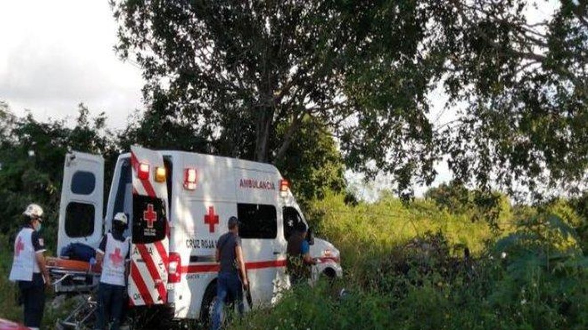 Autoridades mexicanas rescatan el cuerpo de una persona asesinada.-TWITTER