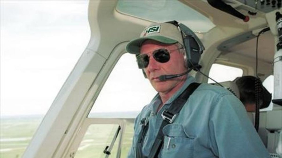 Harrison Ford, a los mandos de su avioneta.-AP / DAMIAN DOVARGANES