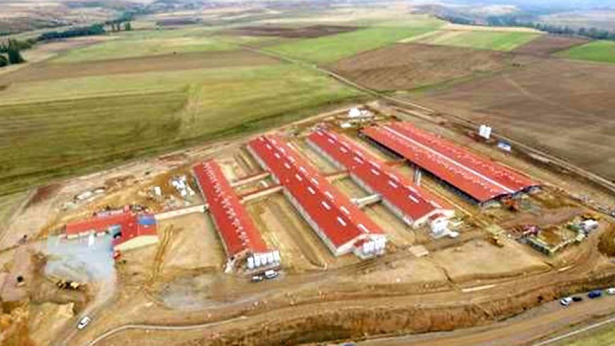Vista aérea de las instalaciones de Grangenia en Herreros de Suso (Ávila) que comenzarán a funcionar el 14 de noviembre.-E.M.