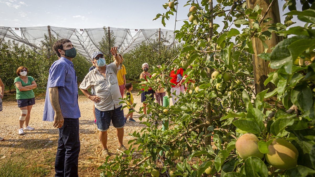 Visita turística a La Rasa de este verano.- MARIO TEJEDOR