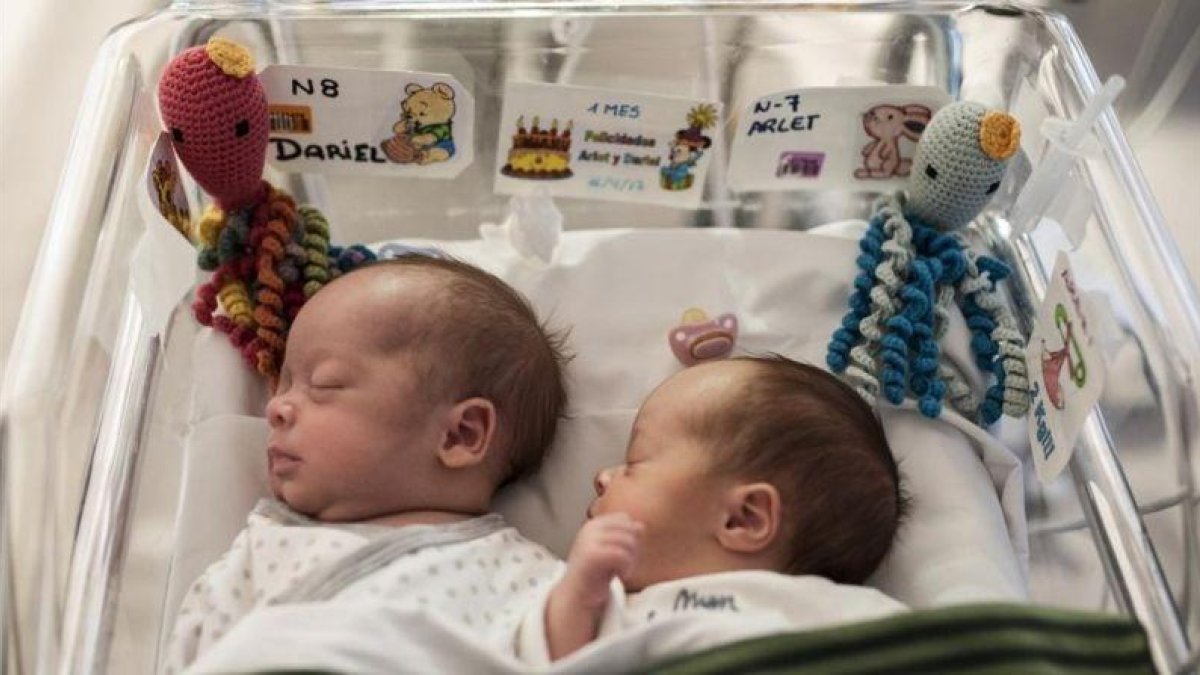Dariel y Arlet, con sus pulpitos, en la unidad de bebes prematuros del Hospital de Dexeus.-JUAN LUIS ROD