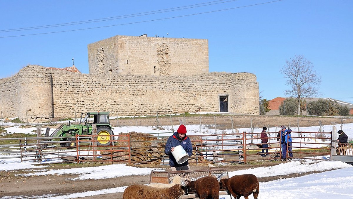 Una familia se hace cargo de su explotación de ovino después de una nevada, junto al castillo de la localidad, en el pequeño municipipo vallisoletano de Fuente el Sol, con 190 habitantes. | S. G. C.
