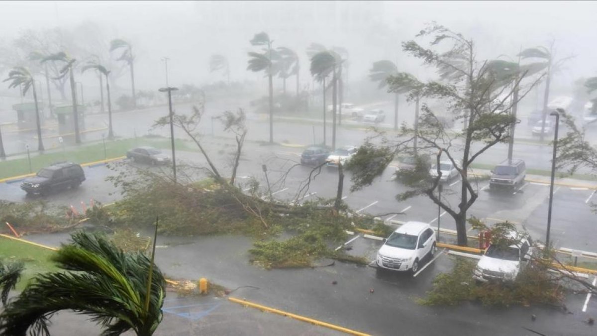 Árboles caídos por los vientos huracanados en un párking exterior de San Juan (Puerto Rico), el 20 de septiembre-AFP / HECTOR RETAMAL
