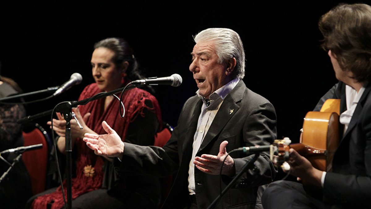 Nano de Jerez, ayer, en su actuación en el Palacio de la Audiencia. Foto: Luis Ángel Tejedor