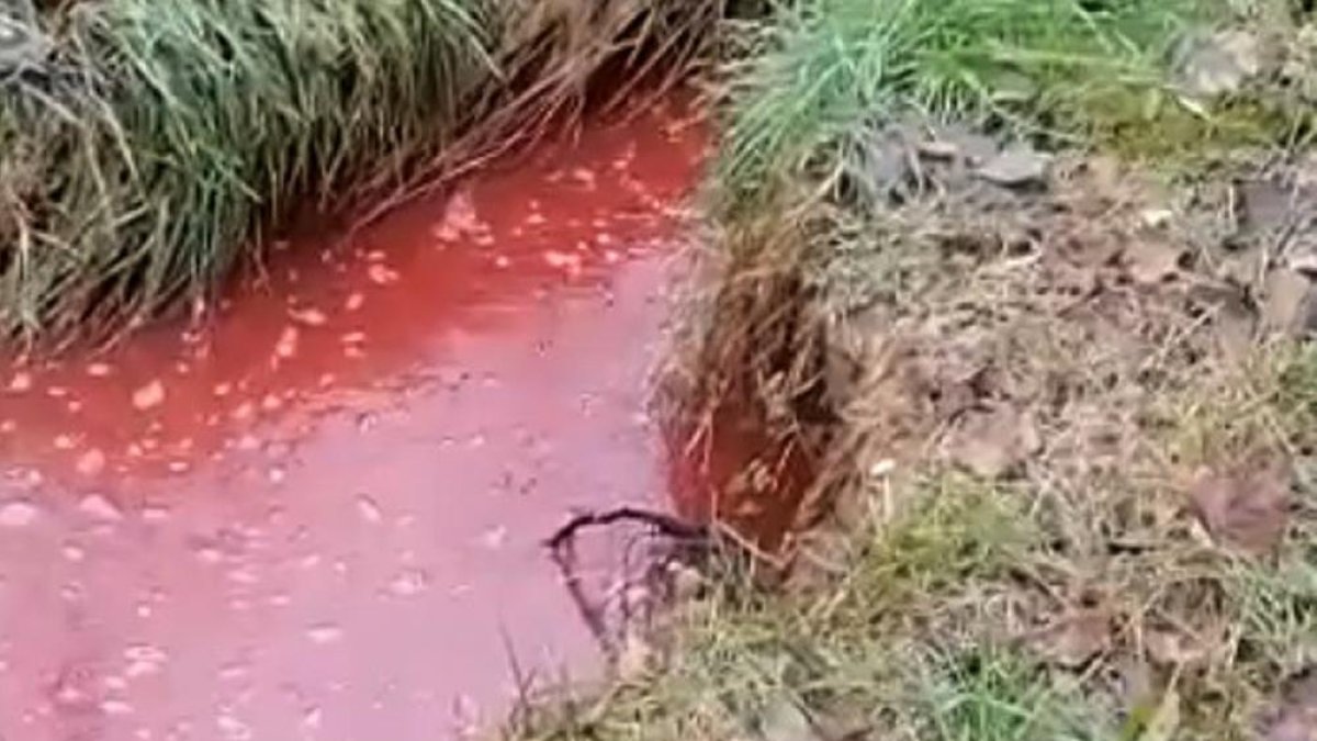 Captura de pantalla del vídeo en el que se observa el arroyo con el agua roja.-HDS