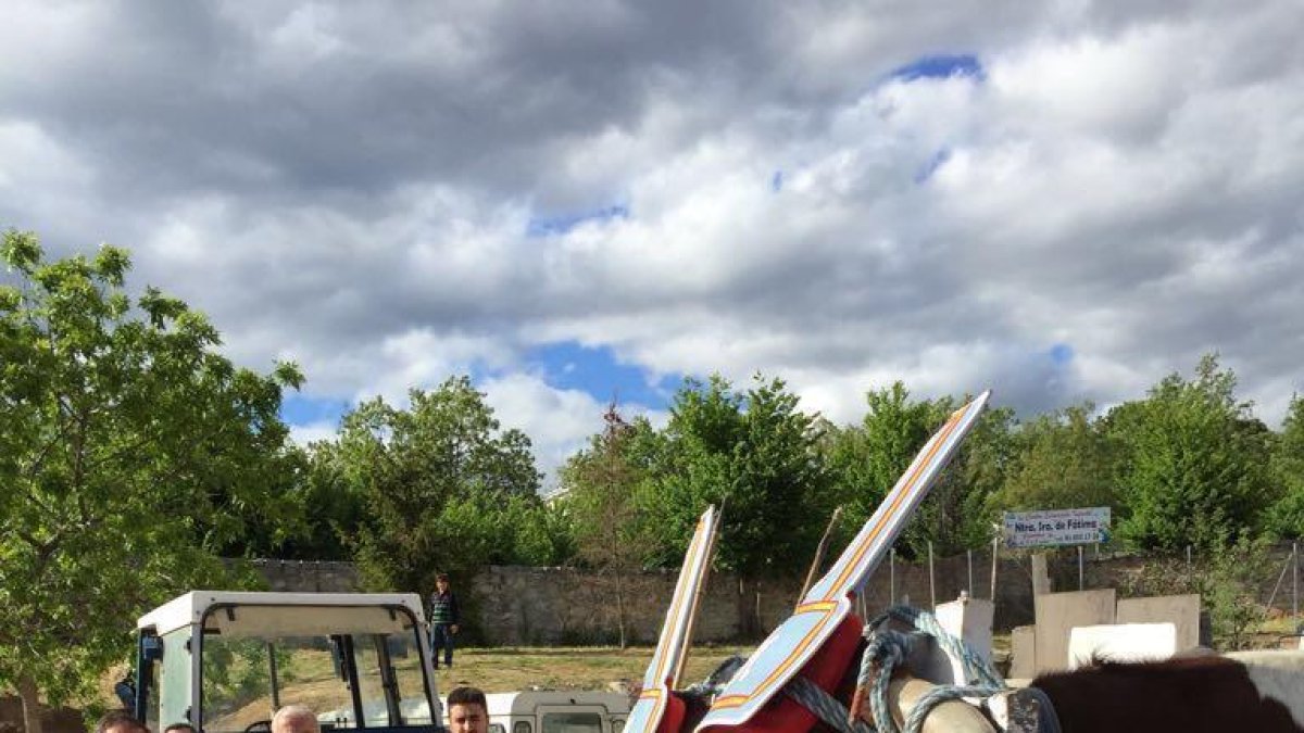 La yuntera soriana participando en el concurso de yuntas y carretas en Los Molinos (Madrid).-CEDIDA