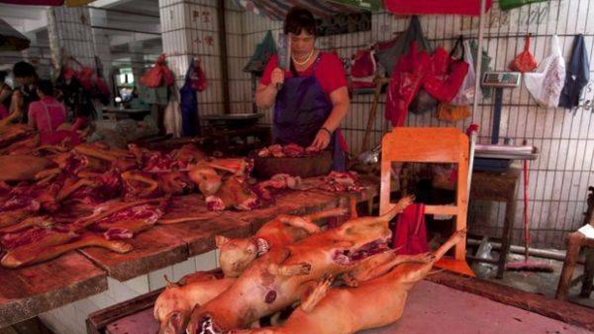 Un carnicero prepara su mostrador con carne de perro lista para ser cocinada en el festival de Yulin.-Foto: CHINA STRINGER NETWORK / REUTERS