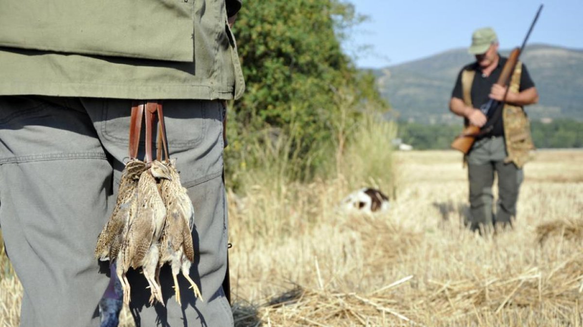 Dos cazadores durante una jornada de caza de la media veda.-VALENTÍN GUISANDE