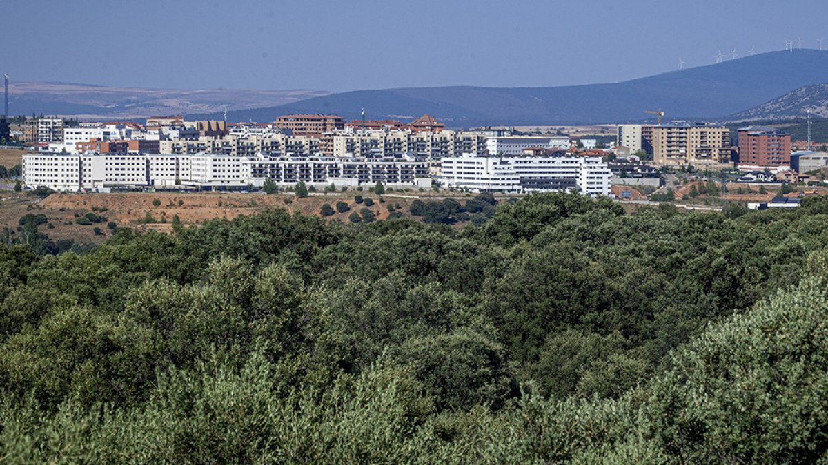 Vista de la zona de expansión de la capital- MARIO TEJEDOR