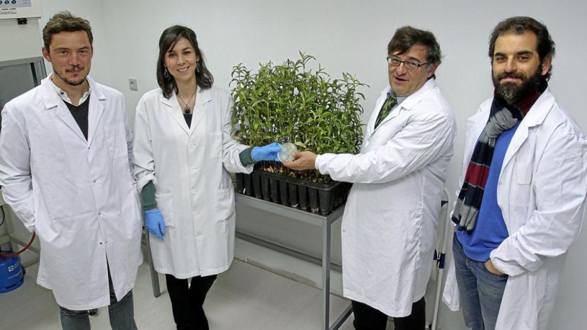 Investigadores con el cultivo-Manuel Brágimo