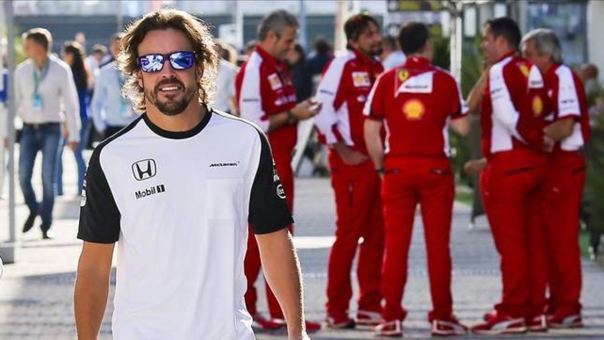 Fernando Alonso pasea por el paddock del circuito de Sochi.-EFE / SRDJAN SUKI