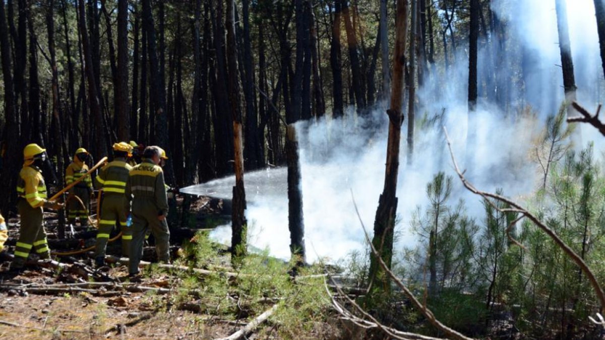 Extiención de un incendio forestal en Ontalvilla de Valcorba.-ÁLVARO MARTÍNEZ