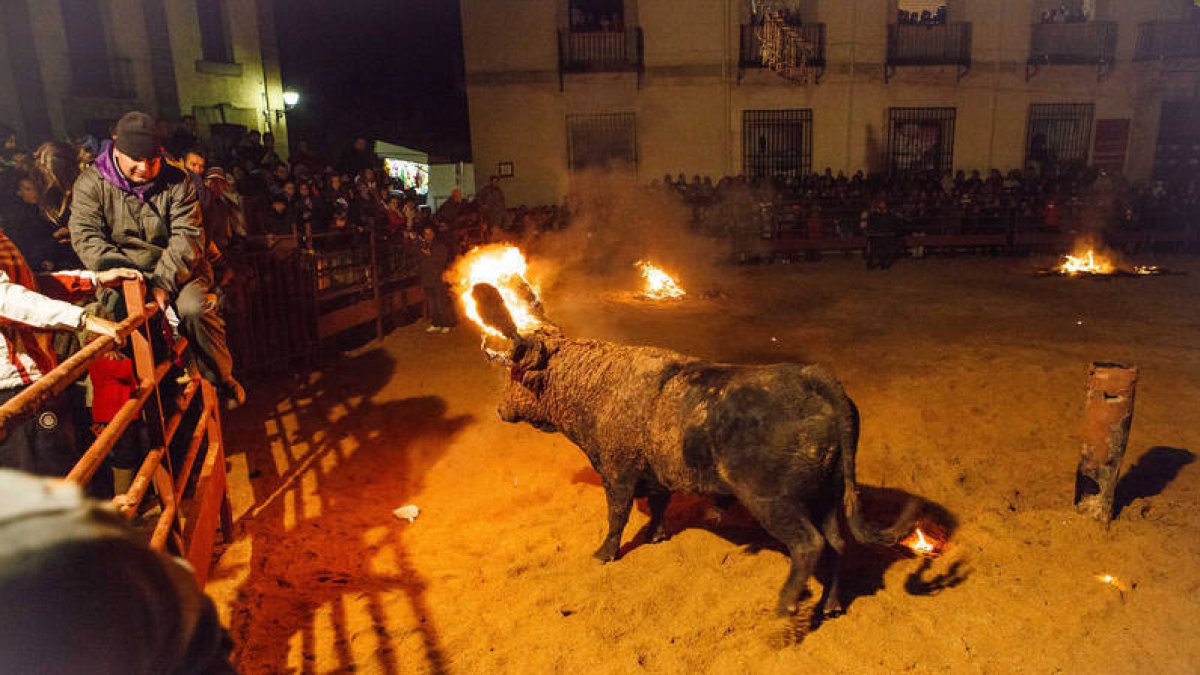 Celebración del Toro Jubilo en Medinaceli (Soria). Concha Ortega / ICAL-