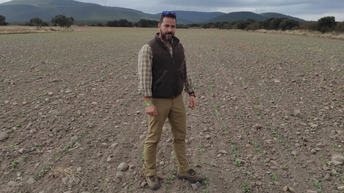 Adolfo Calvo Valer, en una de sus fincas de colza que sembró a principios de mes y ya está naciendo el cultivo. / HDS