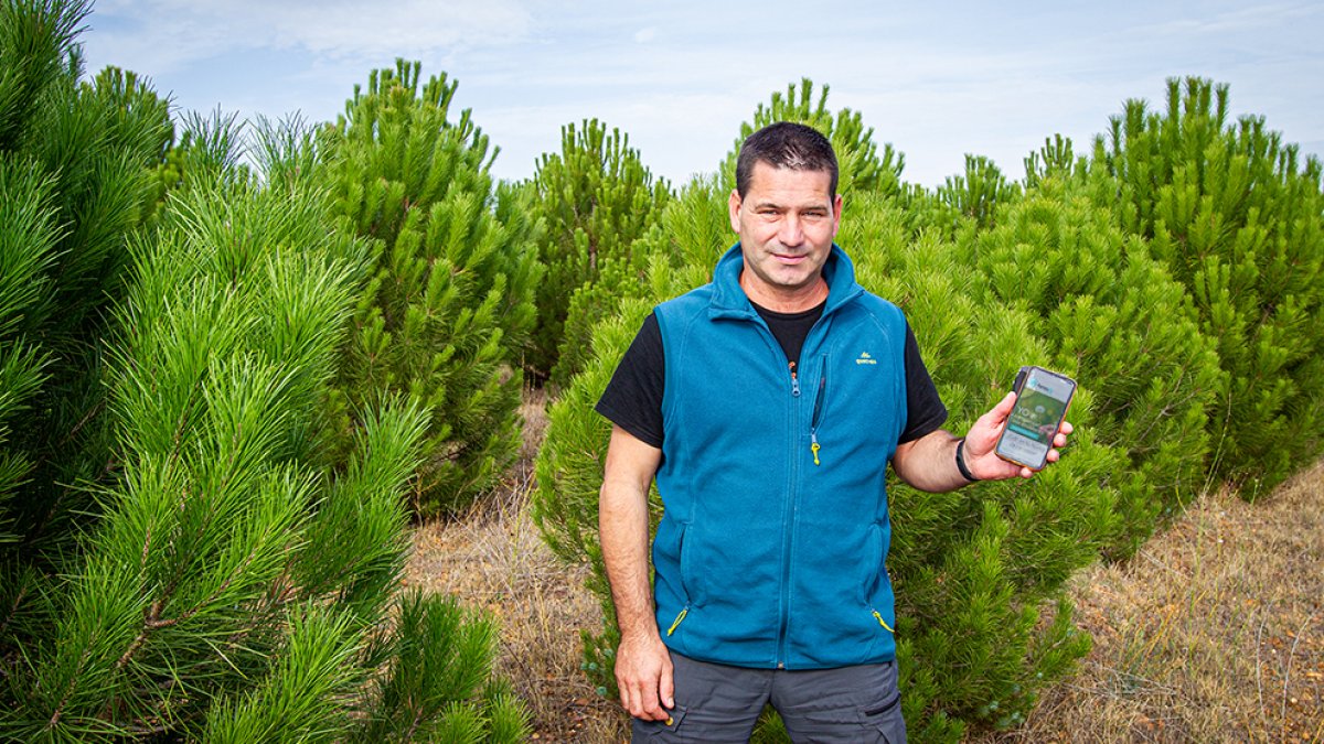 Javier Antón, de Agresta, en una de las plantaciones de reforestación, ubicada en Soria.  MARIO TEJEDOR