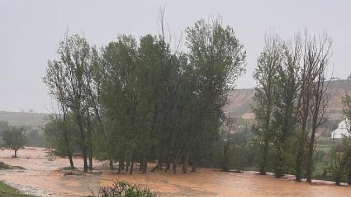 Reciente inundación en la comarca de las Vicarías.