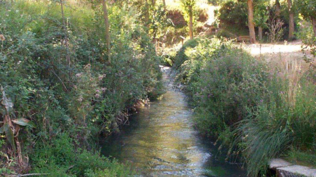 Río Queiles en Vozmediano