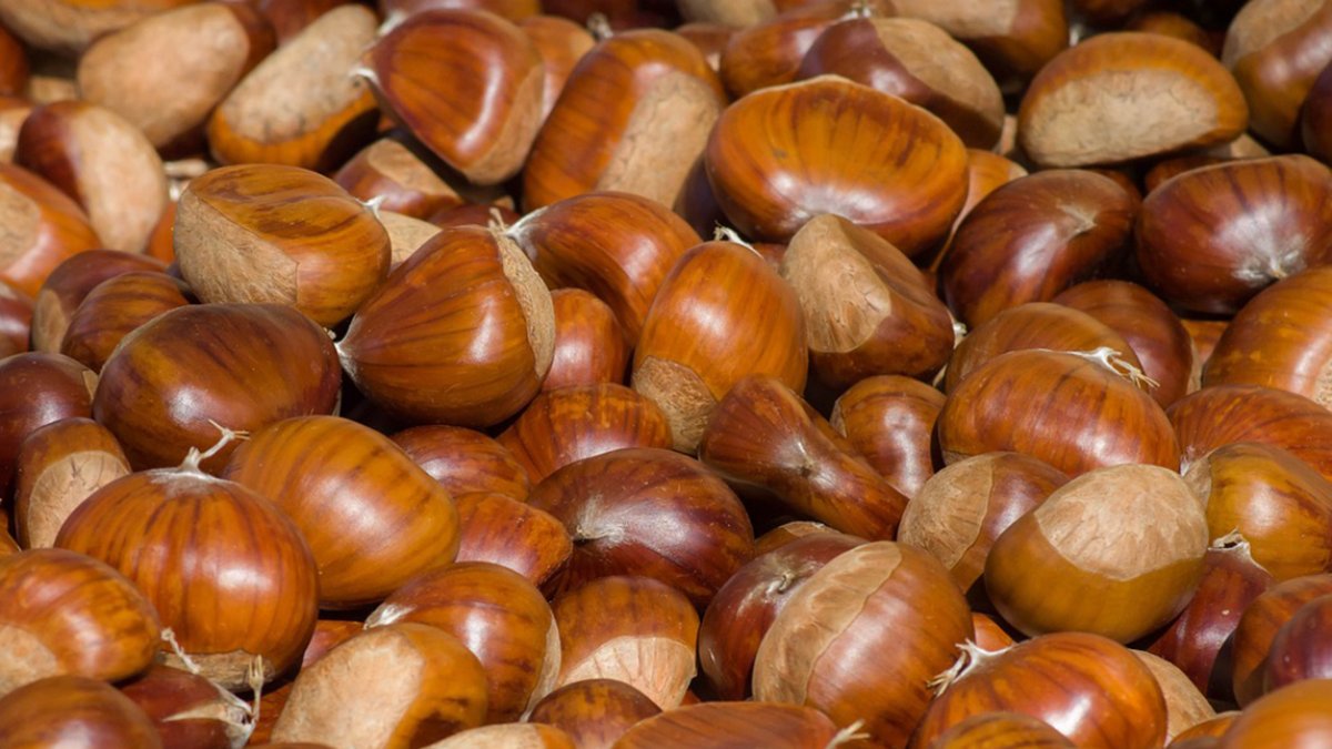 Las castañas tienen un bajo aporte calórico a pesar de ser un fruto seco.